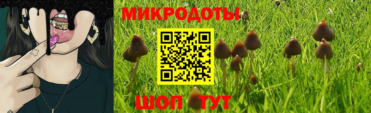 Галлюциногенные грибы Cubensis Гусь-Хрустальный